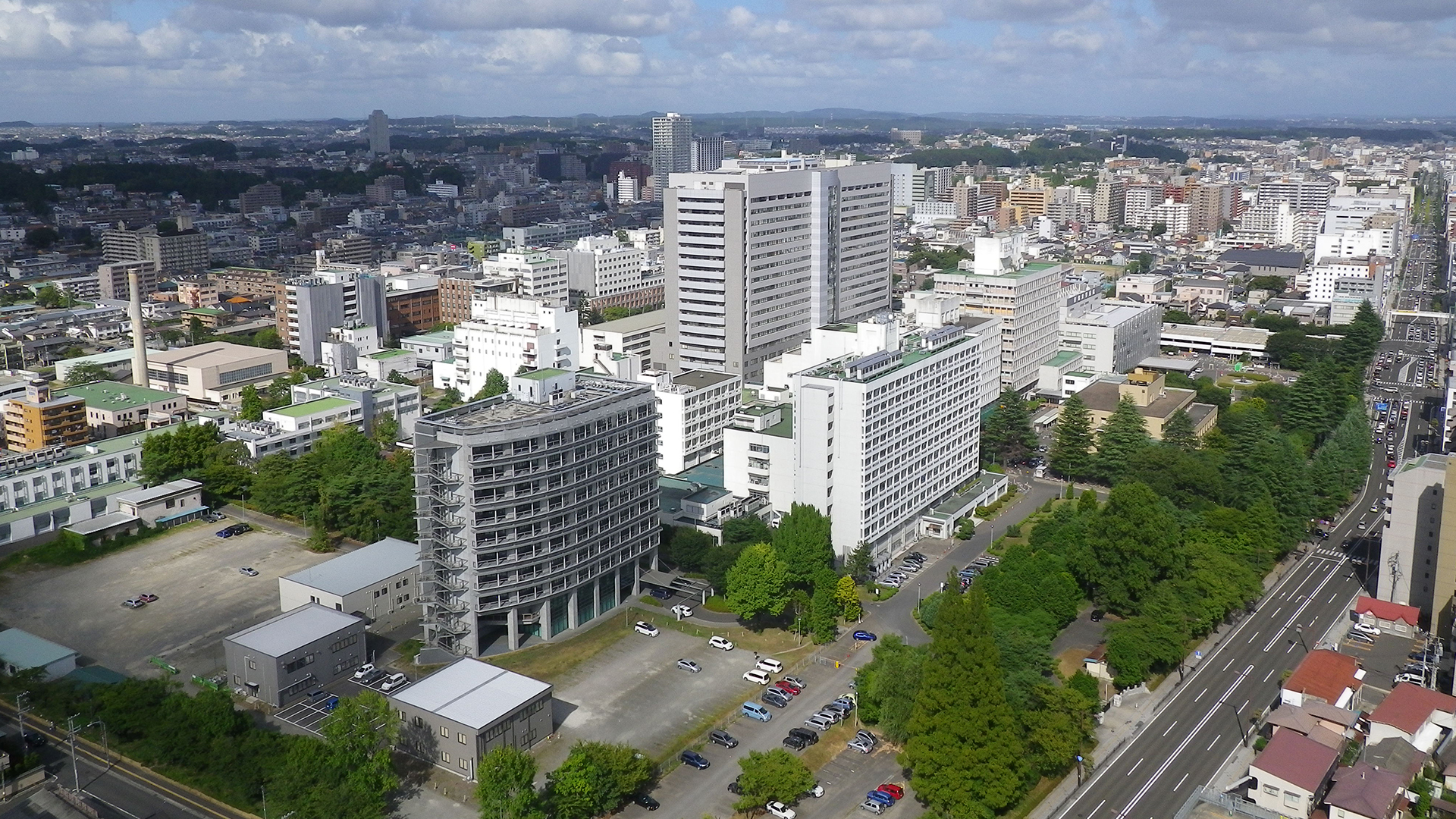 东北大学