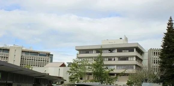 新西兰怀卡托大学最著名的学院(图1)