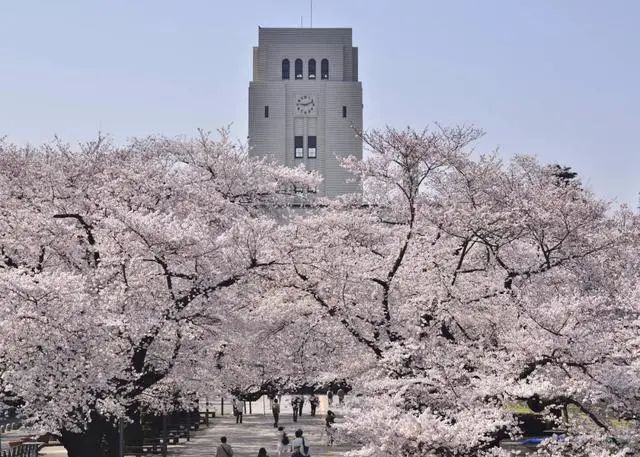 都是很牛的日本实力大学，就是让名字给坑了…(图5)