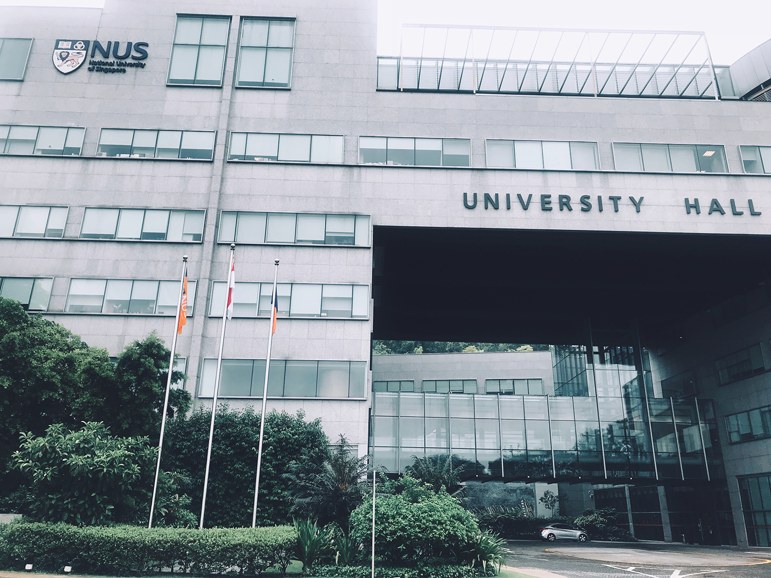 新加坡公立大学、理工学院的黄金专业有哪些？(图1)