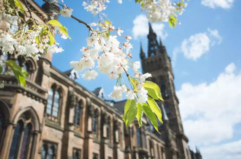 英国经济学专业解析及院校推荐！(图1)